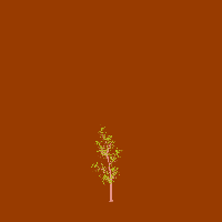 greenshift tree