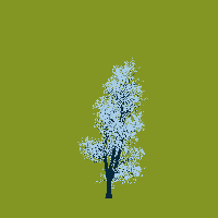 greenshift tree