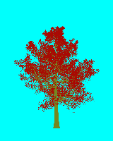greenshift tree