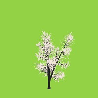 greenshift tree