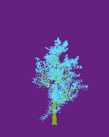 greenshift tree