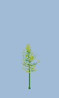 greenshift tree