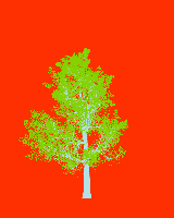 greenshift tree