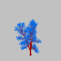 greenshift tree