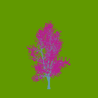 greenshift tree