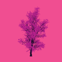greenshift tree