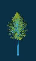 greenshift tree