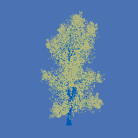 greenshift tree