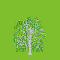 greenshift tree