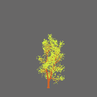 greenshift tree