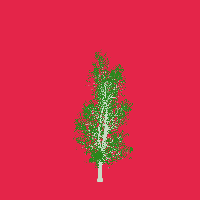 greenshift tree