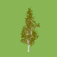 greenshift tree