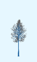 greenshift tree