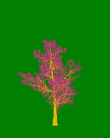 greenshift tree