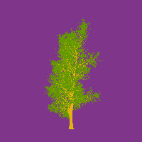 greenshift tree