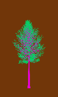 greenshift tree