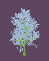 greenshift tree
