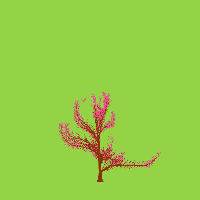 greenshift tree