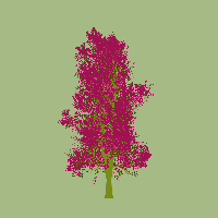 greenshift tree