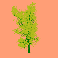 greenshift tree