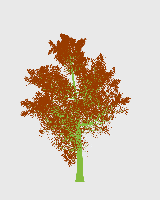 greenshift tree