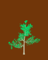 greenshift tree