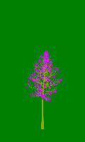 greenshift tree