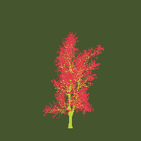 greenshift tree