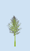 greenshift tree