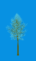 greenshift tree