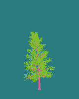 greenshift tree