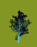 greenshift tree
