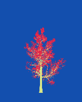 greenshift tree