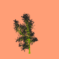 greenshift tree