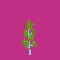 greenshift tree