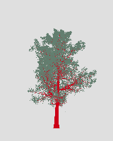 greenshift tree