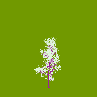 greenshift tree