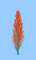 greenshift tree