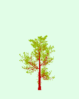 greenshift tree
