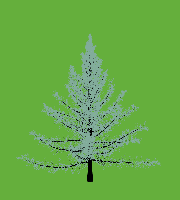 greenshift tree