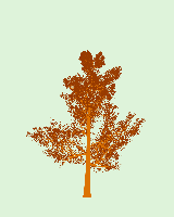 greenshift tree