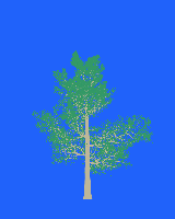 greenshift tree