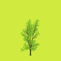 greenshift tree