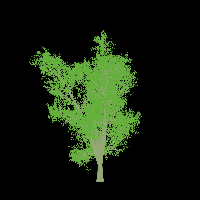 greenshift tree