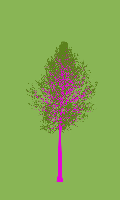 greenshift tree