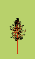 greenshift tree