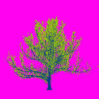 greenshift tree