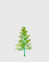 greenshift tree