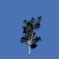 greenshift tree