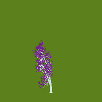 greenshift tree